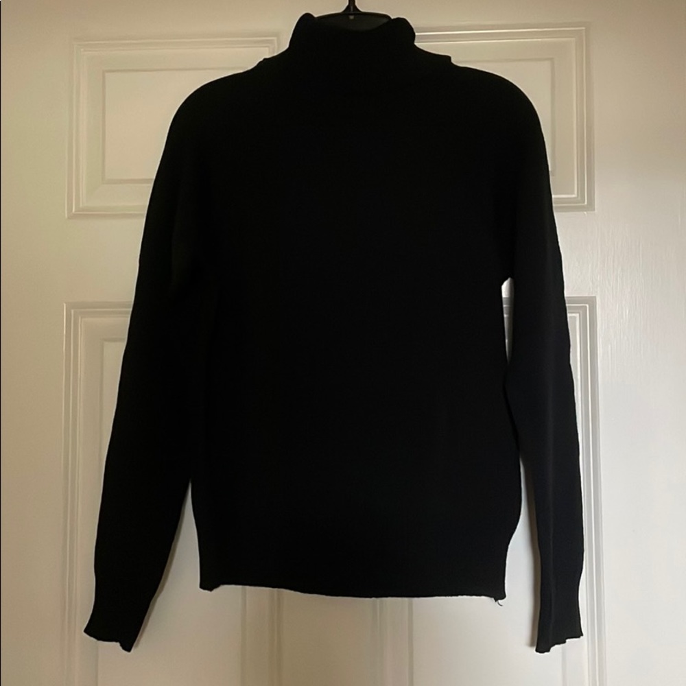 Karen Scott Turtleneck